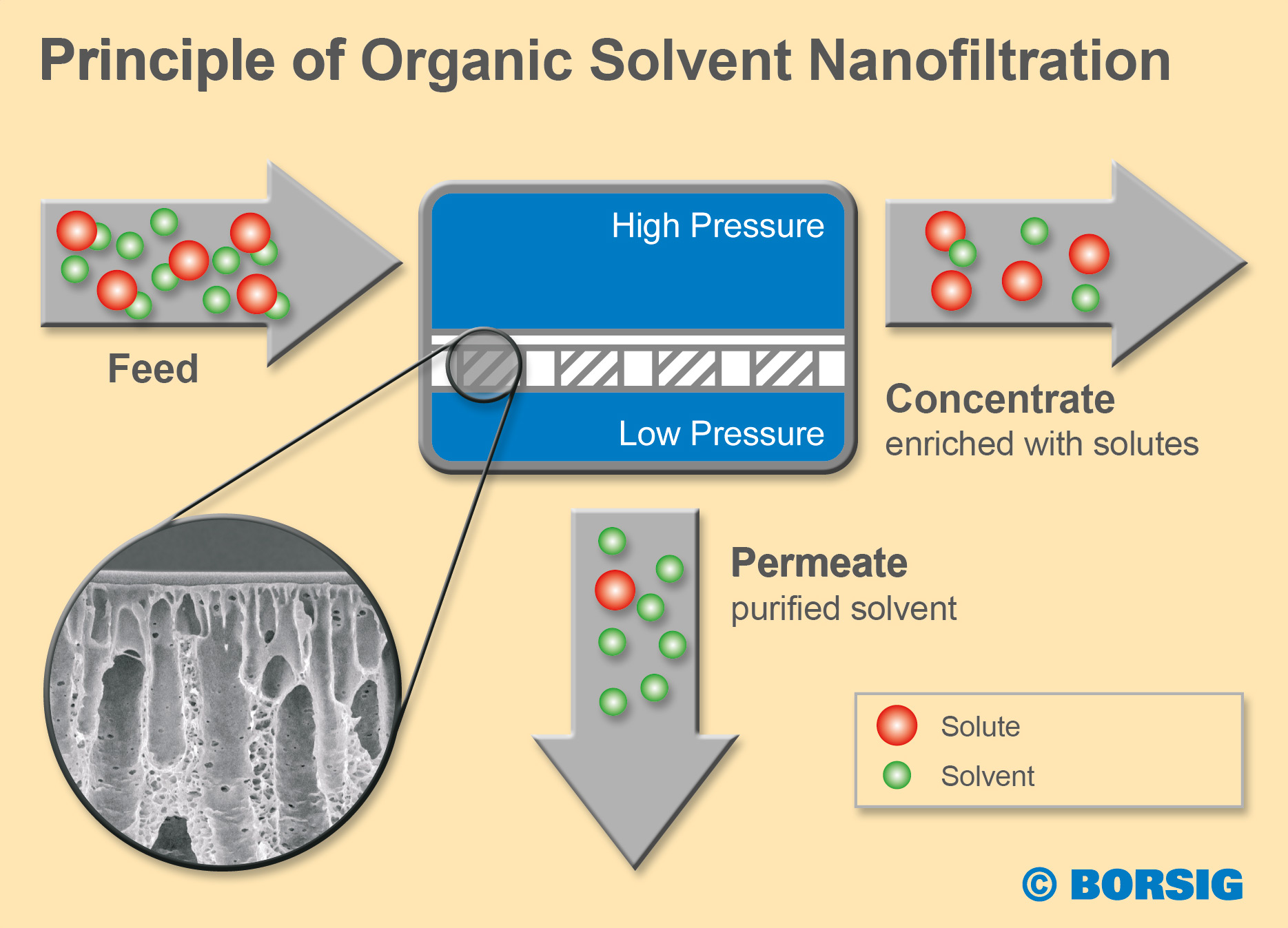 Priciple Of Organic Solvent Nanofiltration